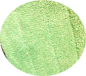 Grünen Sie verdrehtes microfiber Stich der Falte 13*47 nassen Reinigungsmop-Auflagenkopf