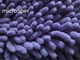 Purpurroter bunter nasser Mopp Microfiber füllt großes Chenille der 13*47cm Haar-Längen-2cm auf