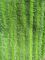 Grün verdrehte nasse Mopp-Auflagen 14*48 Falten-Oxford-Gewebe-Tasche Microfiber